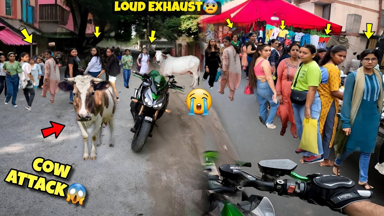 Cow Attacked Super Loud Z1000 In Market😱 Revv Ni Krna Chahiye Tha😭#kawasaki #z1000