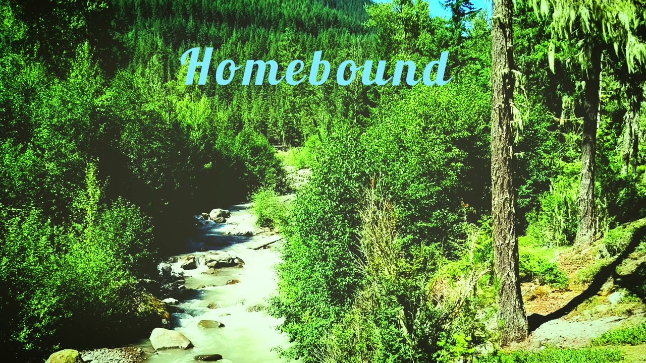 David Adam - Homebound