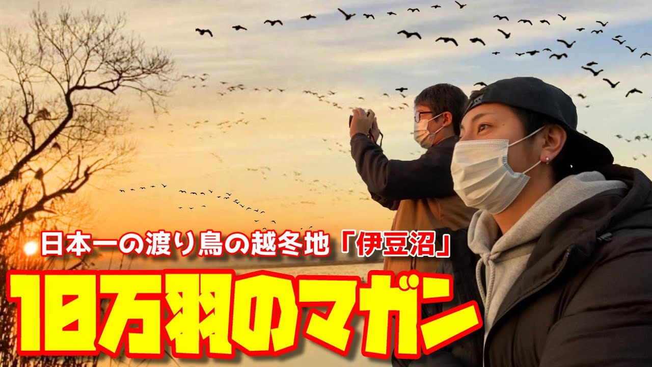 【宮城県の絶景】絶対行くべき！初日の出おすすめスポット【伊豆沼・内沼】