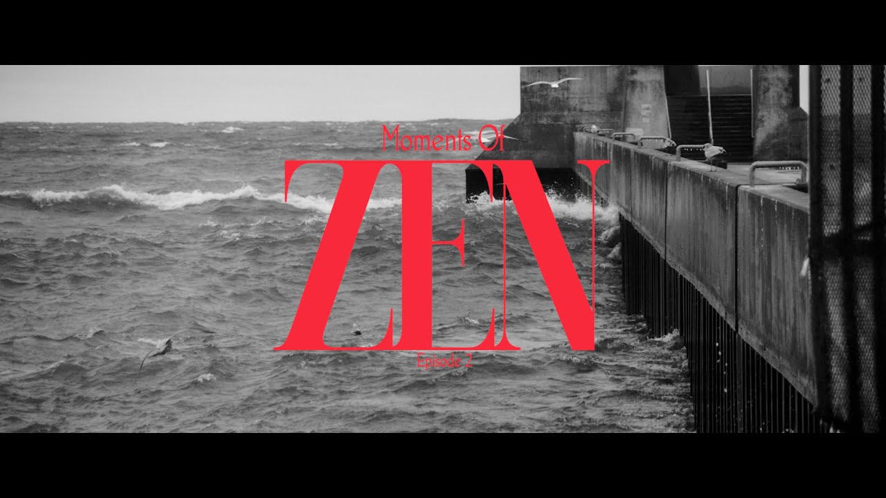 Moments of Zen / Episode 2 / Tamron 18-200mm Testing / Panasonic S5IIX