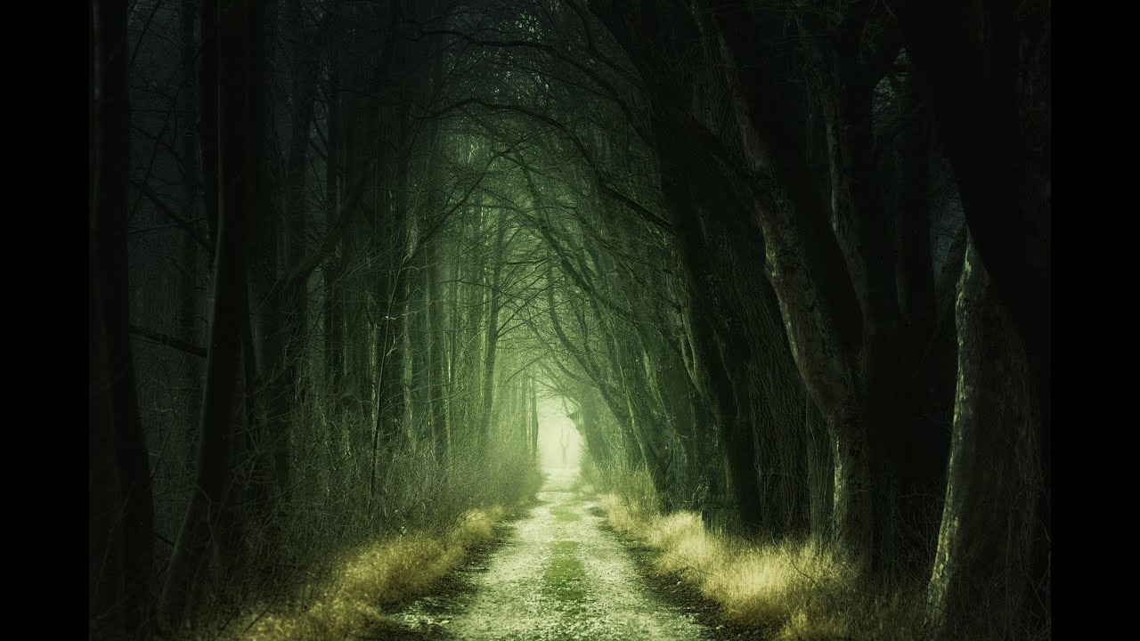 VOID DRIFT | Dark Ambient Space Music for Deep Focus & Existential Dread