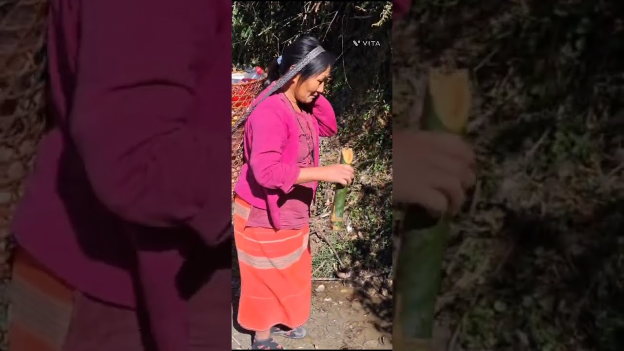 Organic Local Chicken Farm🐓🐔🐤🐥#Dalbing Village #upper  Siang District #arunachalpradesh #