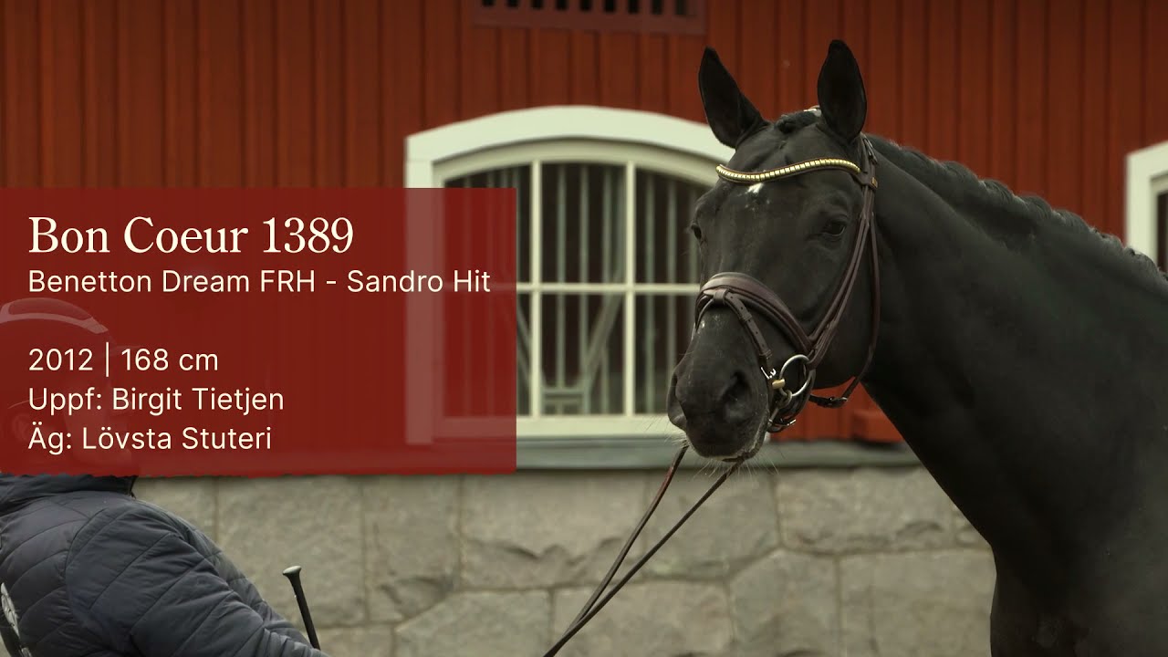 Bon Coeur 1389 stallion show 2021