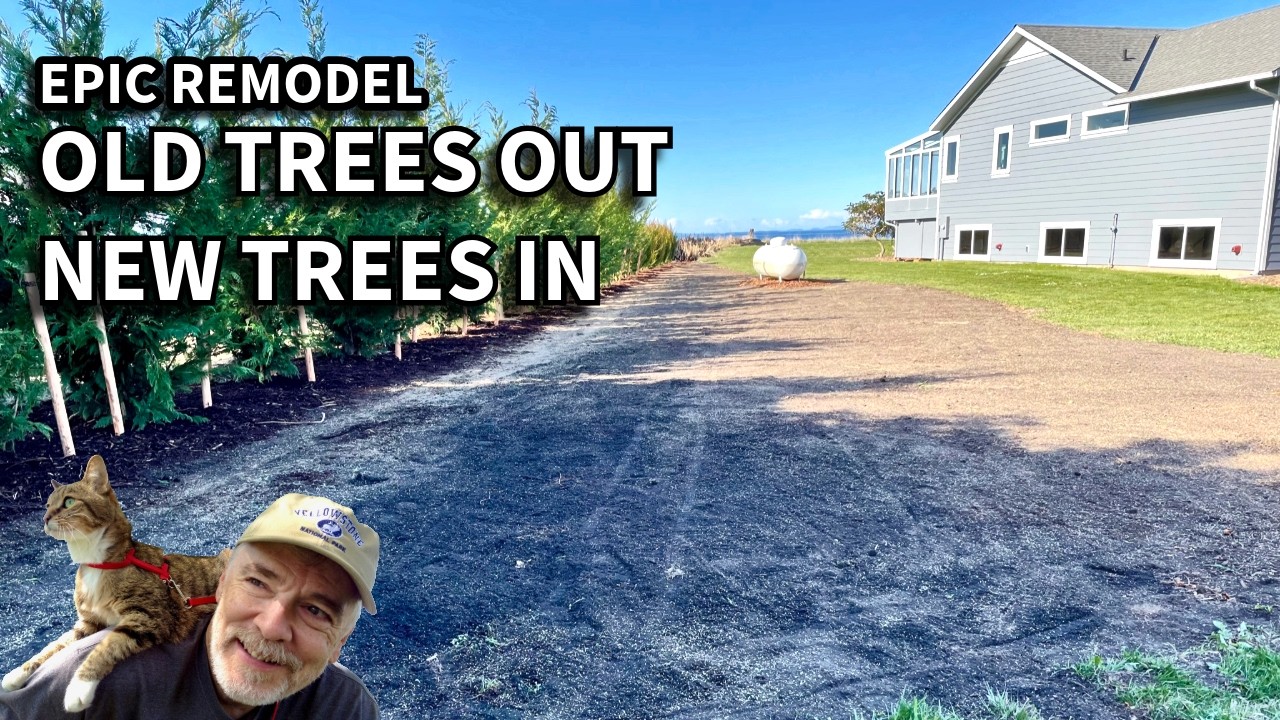 Trees Down, Views Up | Epic Remodel Part 33