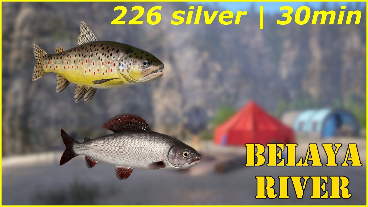 Belaya River Grayling & Brown trout #87 Russian Fishing 4 rf4
