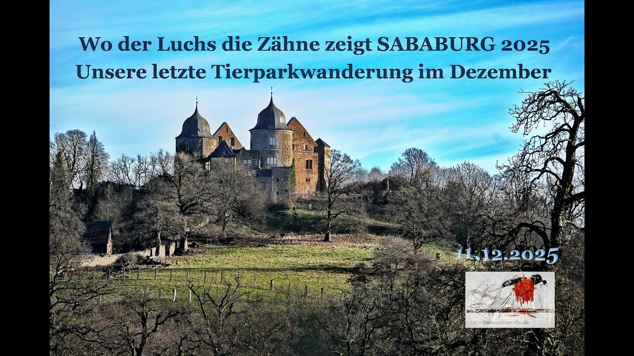 Wo der Luchs und Vielfraß die Zähne zeigt,im Dezember 2025