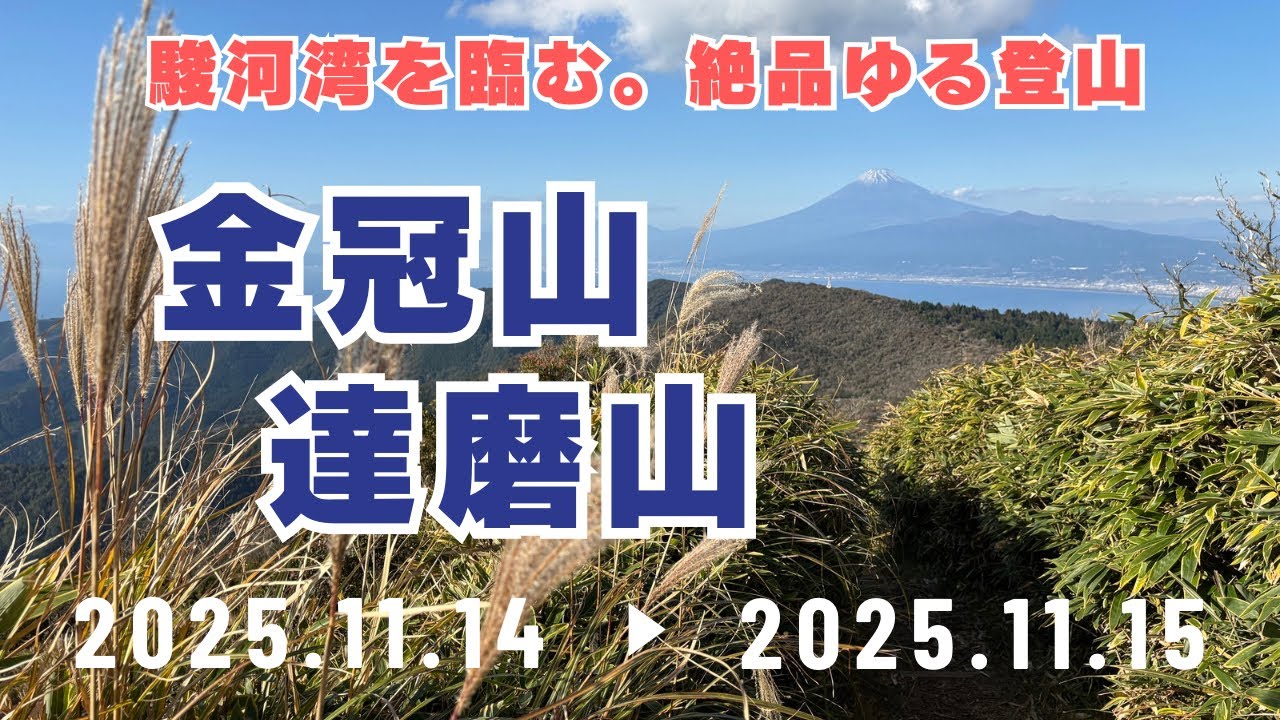 【金冠山・達磨山】熊鈴要らず。だるま山高原レストハウス〜ずうっと絶景【伊豆半島で登山&修善寺巡り】