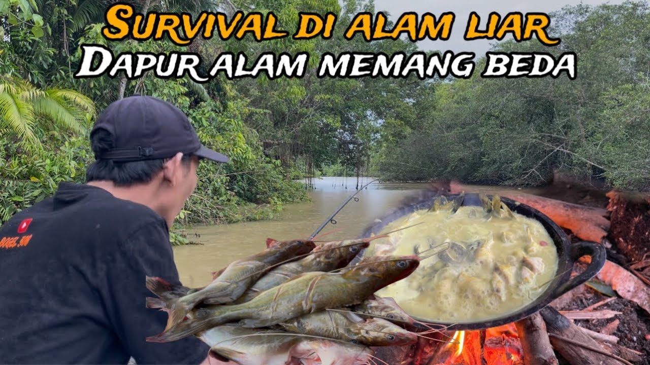 Survival dan mukbang di alam sungai yg dihuni buaya pasti banyak ikannya