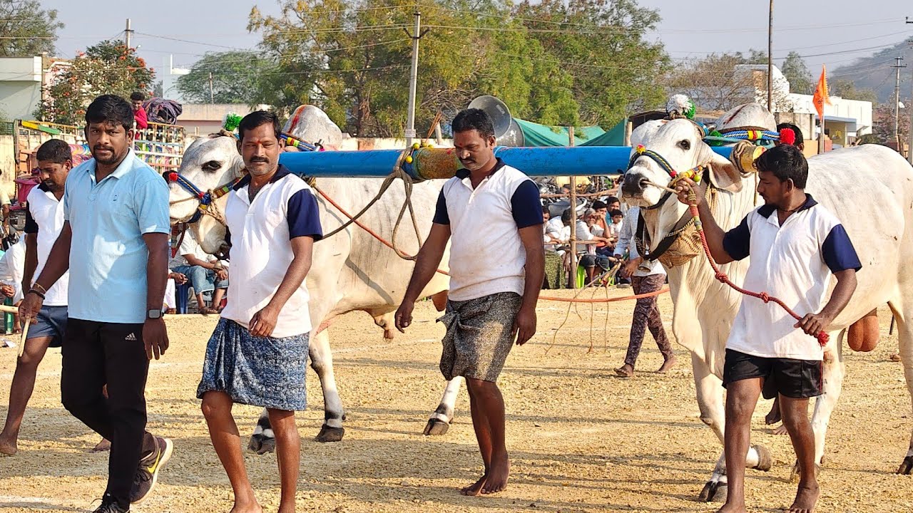 2026-యాడికి.సీనియర్స్.10వ జత.బోరెడ్డి కేశవరెడ్డి గారు పెద్దకొట్టాల (సాంబశివారెడ్డి వీరనరసింహారెడ్డి)