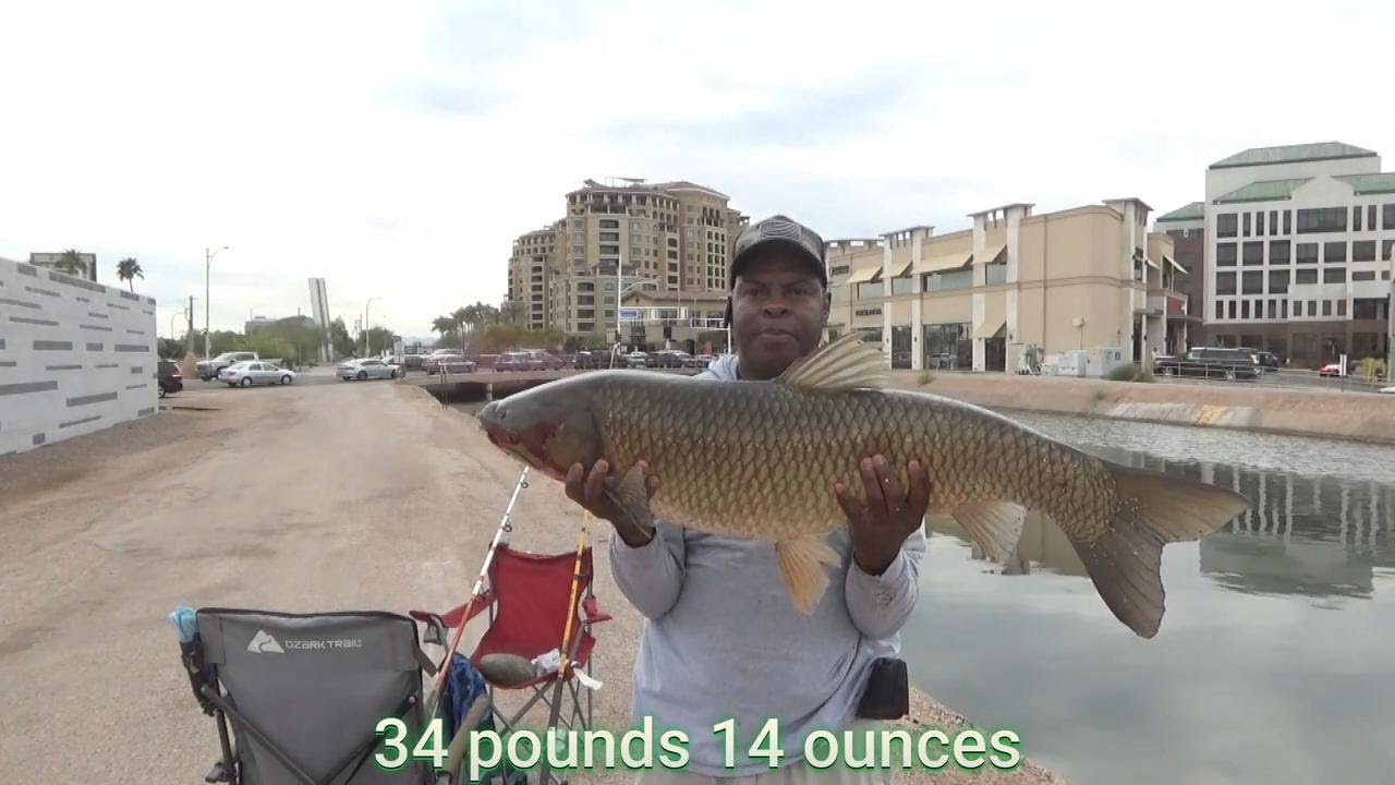 35 POUND GIANT GRASS CARP (New Personal Best)