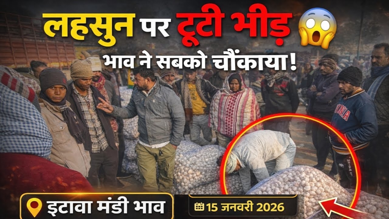 आज का लहसुन का भाव इटावा मंडी से | Garlic Price Today Etawah Mandi | 15 जनवरी 2026