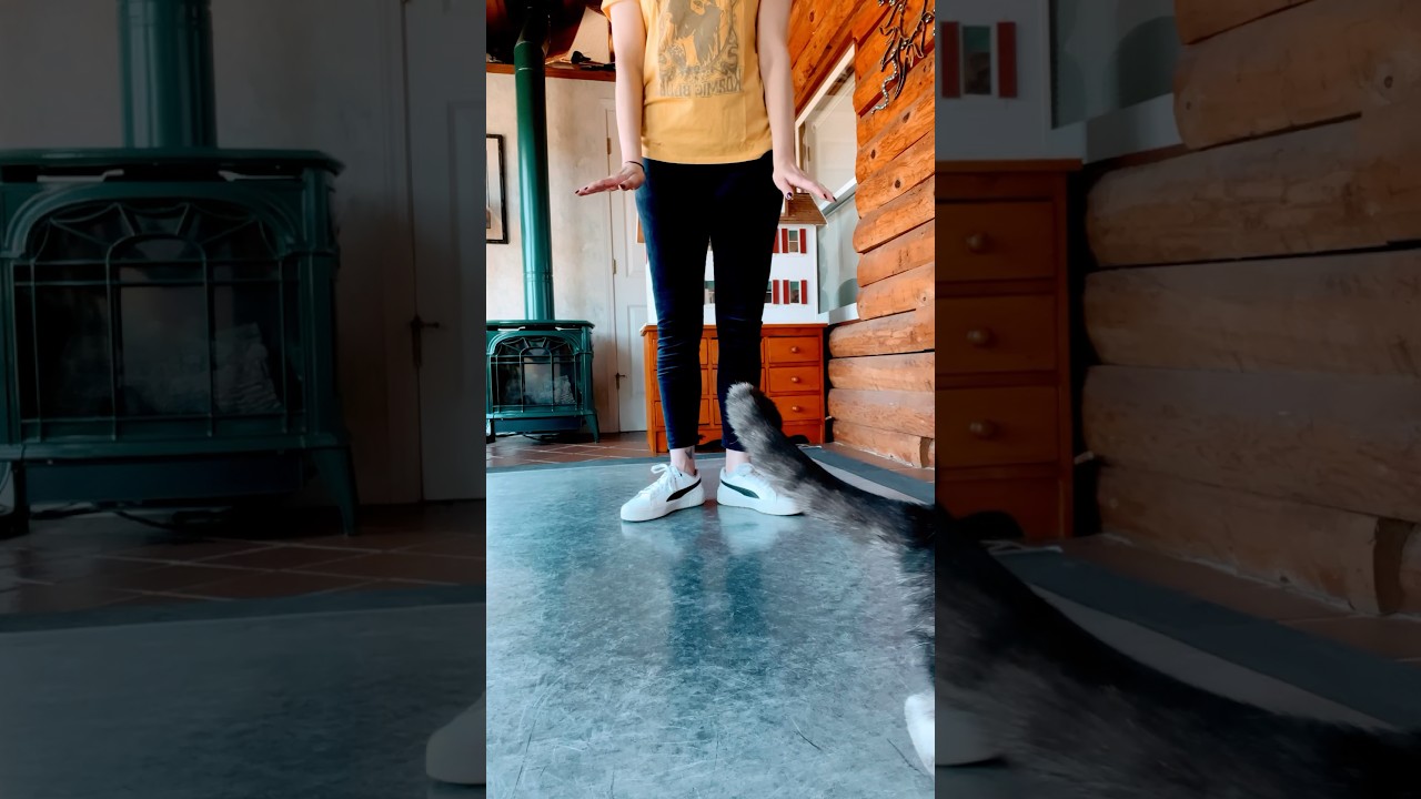 Electro Swing Dance | Charleston Tutorial