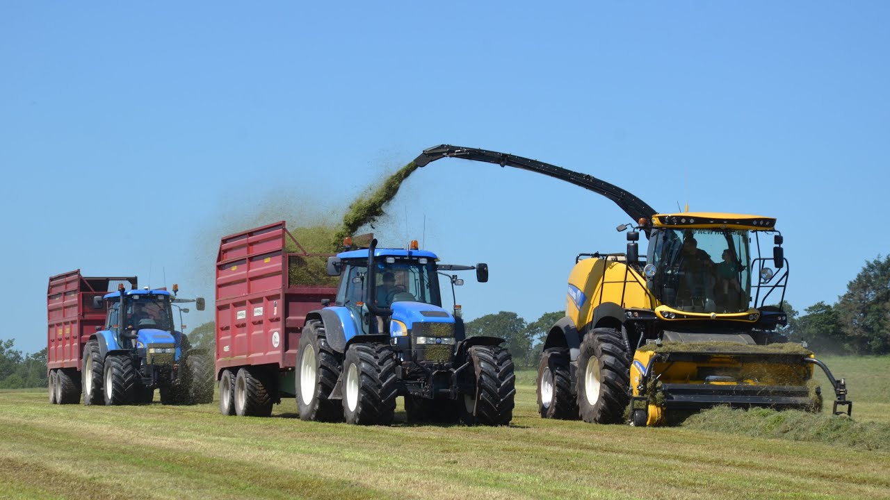 Cumbrian Silage ‘25. Five 6-cylinder NH tractors (7840,8560,TM140) + FR550 SP on 2nd cut harvest!