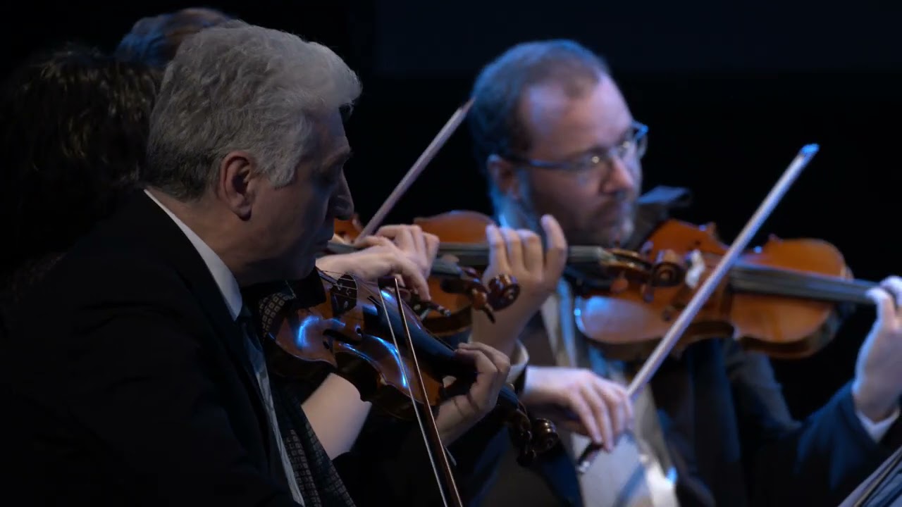05 Zagrebački solisti - John Williams - Theme from 