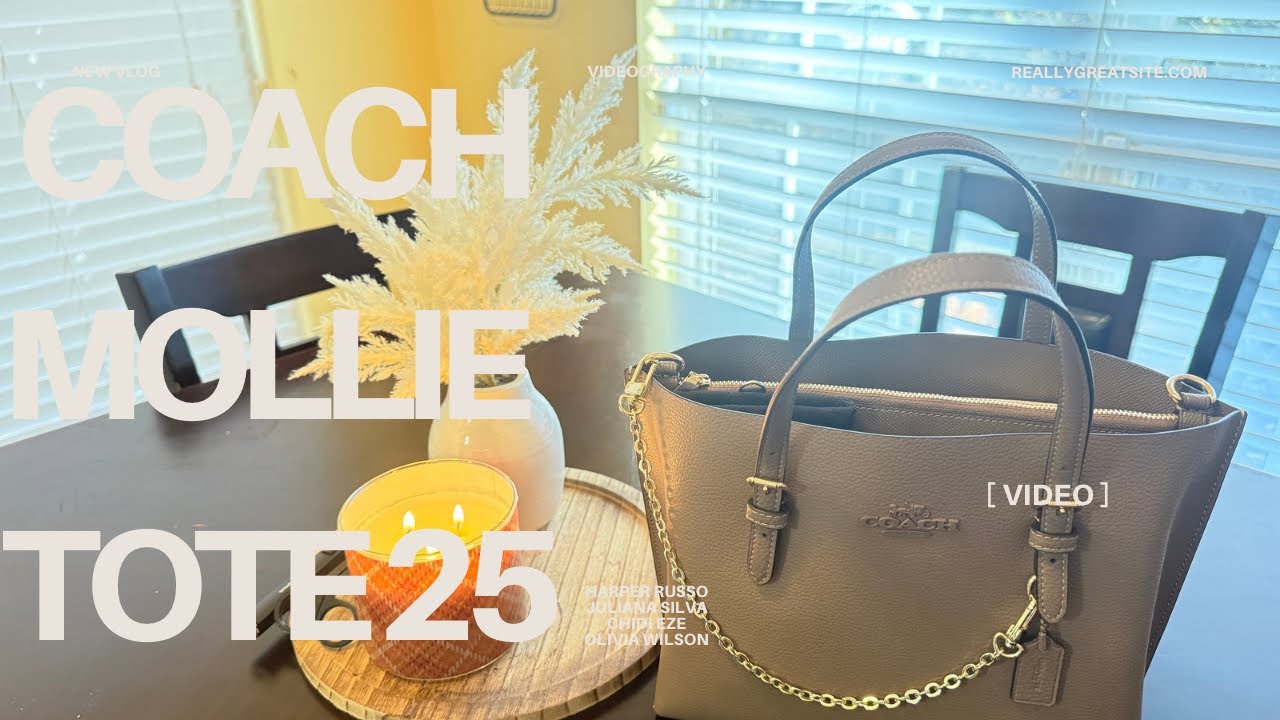 WHAT’S IN MY BAG- COACH MOLLIE TOTE 25
