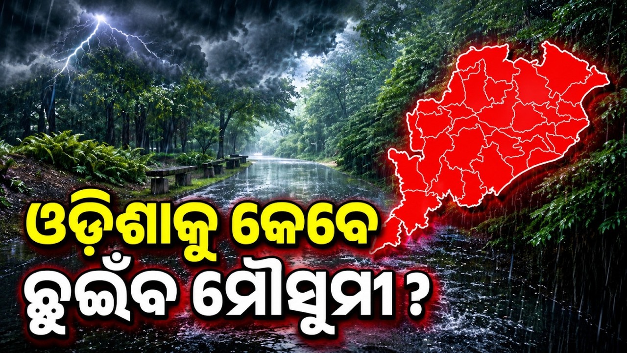 ବଢ଼ୁଛି ଦକ୍ଷିଣ-ପଶ୍ଚିମ ମୌସୁମୀ ବାୟୁ | Odisha Weather | Southwest Monsoon | IMD Forecast | Argus News
