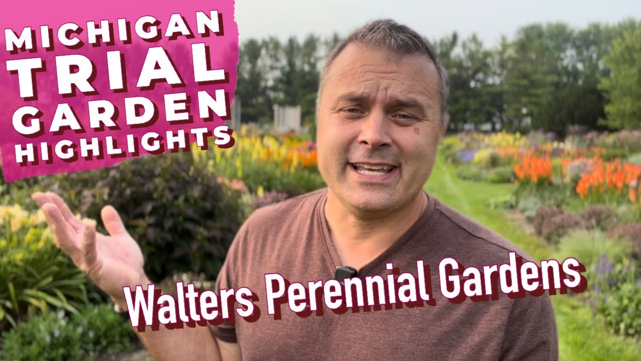 Michigan Trial Garden Highlights #4 Walters Gardens