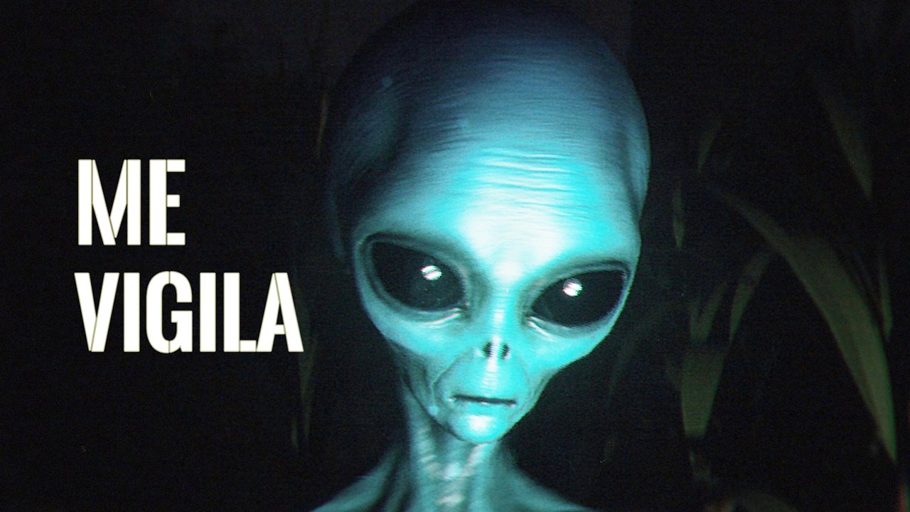 Algo me observaba en el bosque | The Strange Lights