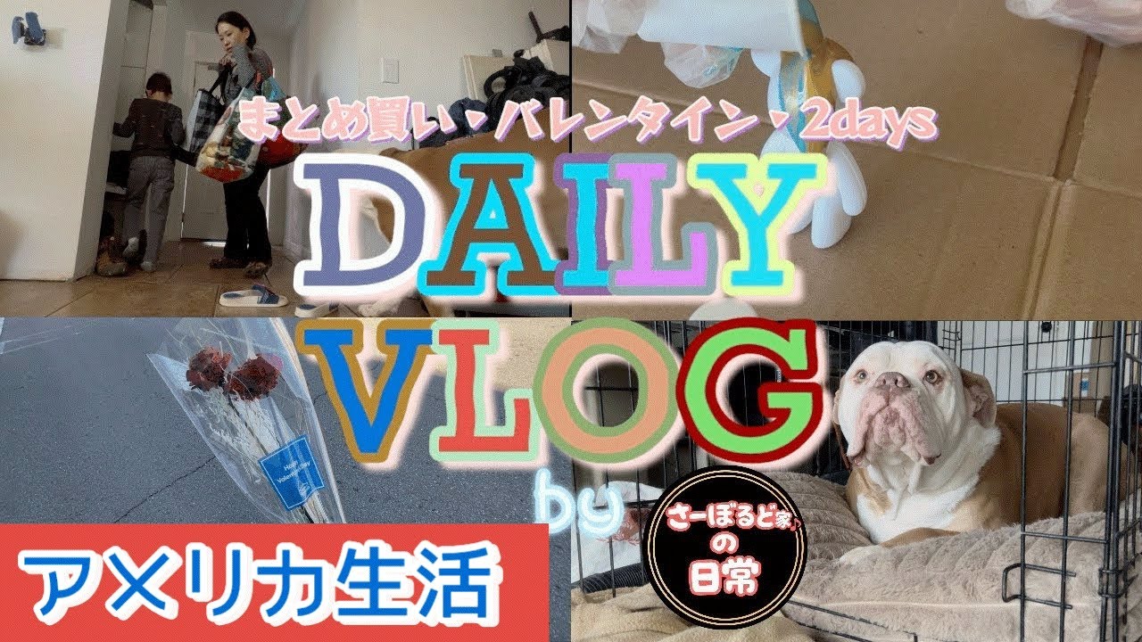 【日常】vlog |2days|週末|まとめ買い|爆買い|購入品紹介|バレンタイン|専業主婦|うちなーんちゅ|アメリカ生活|grocery|household