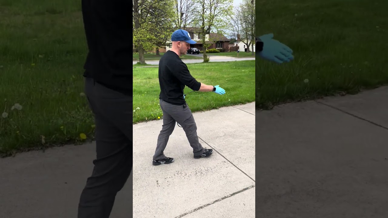 HOW TO GET RID OF WEEDS WITHOUT KILLING YOUR LAWN