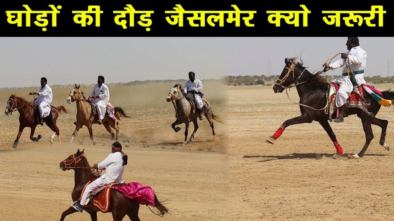 घोड़ों की दौड़ लानेला रण में।क्यो होती||Horse Race Lanela Rann Jaisalmer||Important for Sindhi breed
