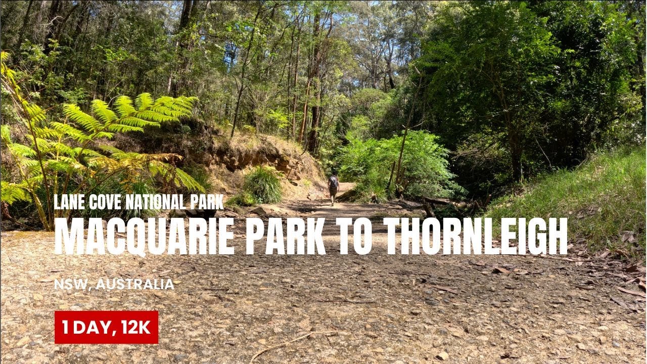 The Great North Walk (12k Hike), Macquarie Park to Thornleigh (Solo), Lane Cove NP