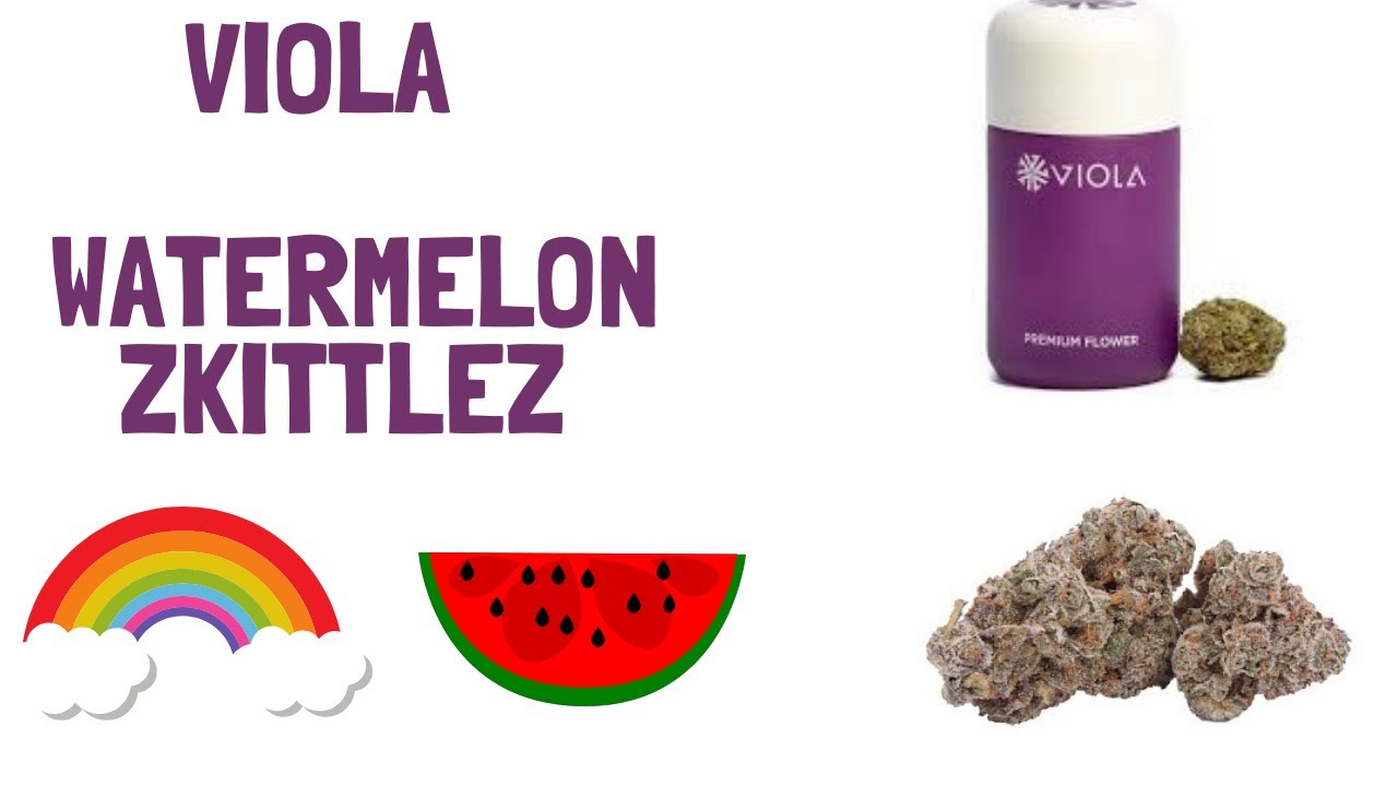 Viola - Watermelon 🍉 Zkittlez 🌈 26.90% THC 🔥🤯- Perfect daytime strain, Perfect cure!!