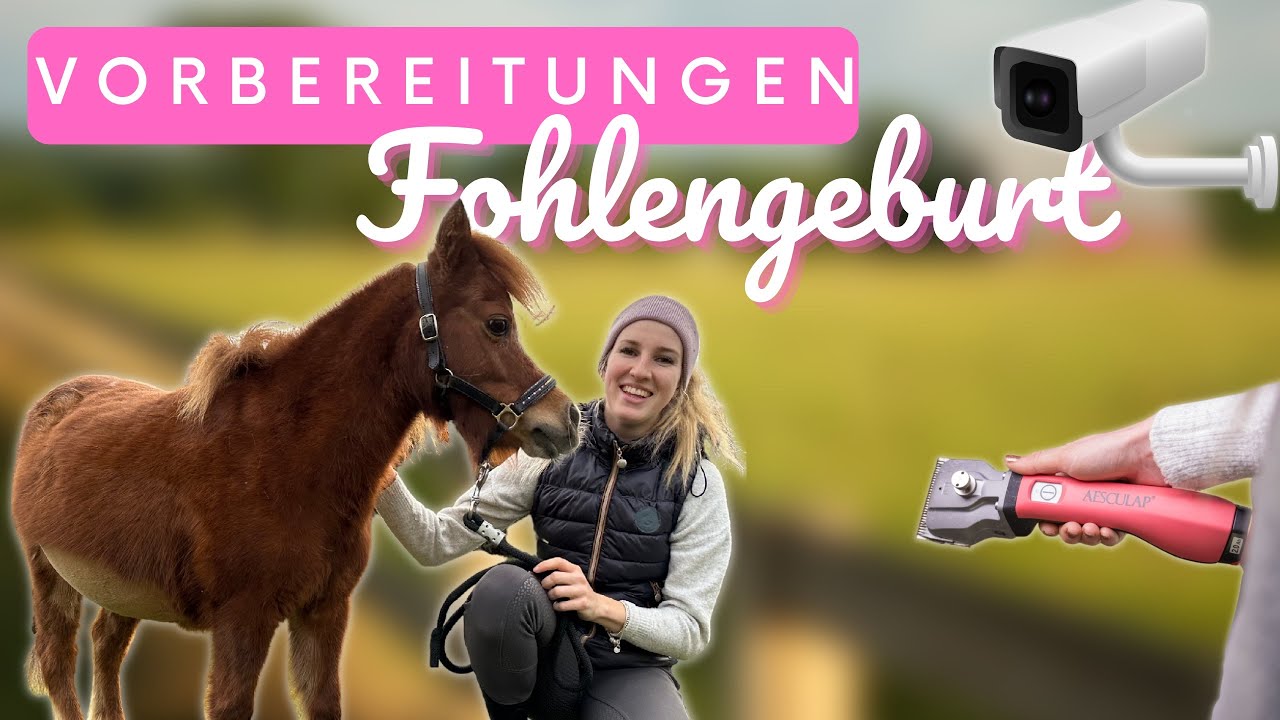 Vorbereitung: Pandoras Fohlen kommt💕