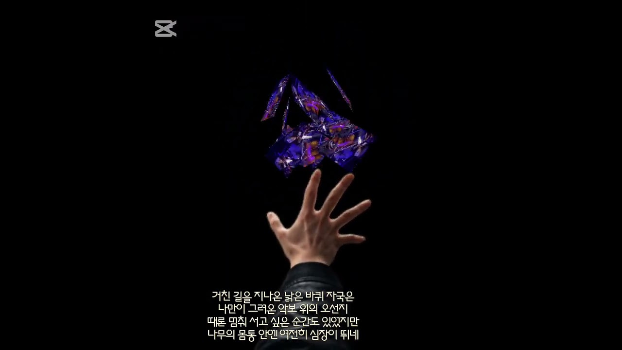 바퀴위의 아리아(휠첼로)-차진환 Aimer