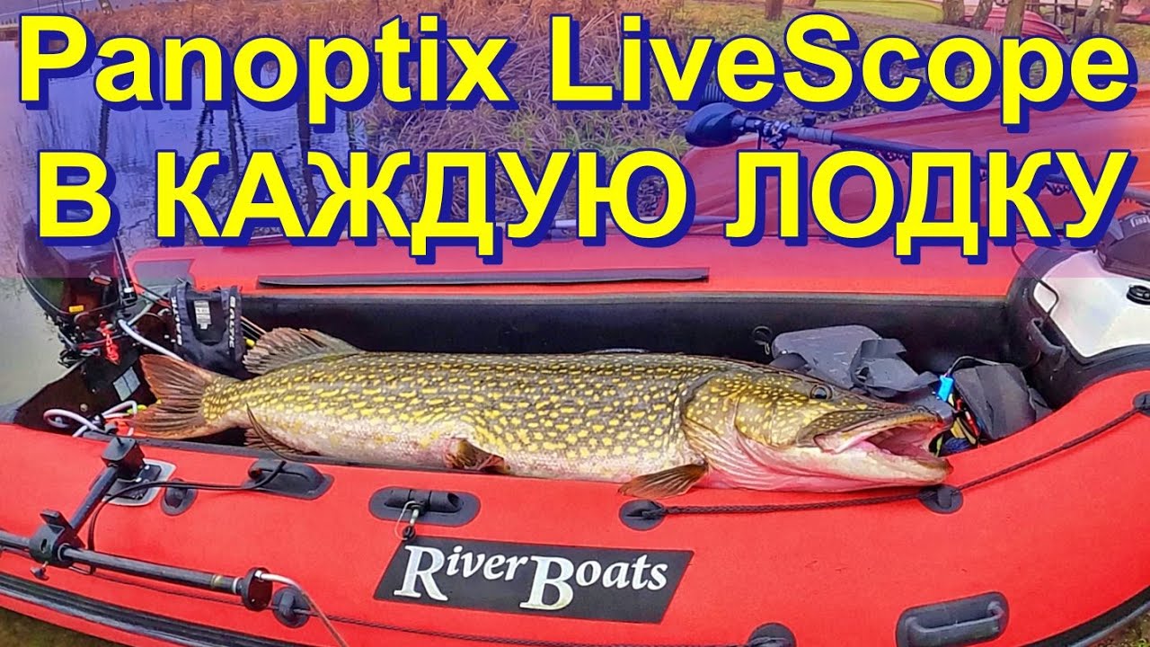 Почему LiveScope - must have на рыбалке. Мой опыт и примеры
