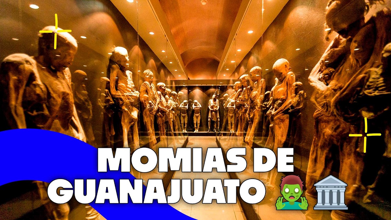 Momias, Yankees, Alien Ant Farm y datos rarísimos que te van a volar la cabeza 🧠⚾🎸