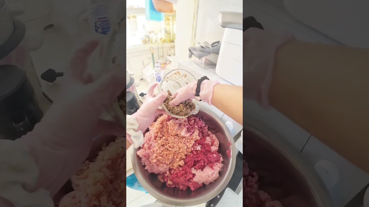 9-month schnauzer self-prepared meal#Homemade dog rice#Schnauzer#The dog#Homemade dog food