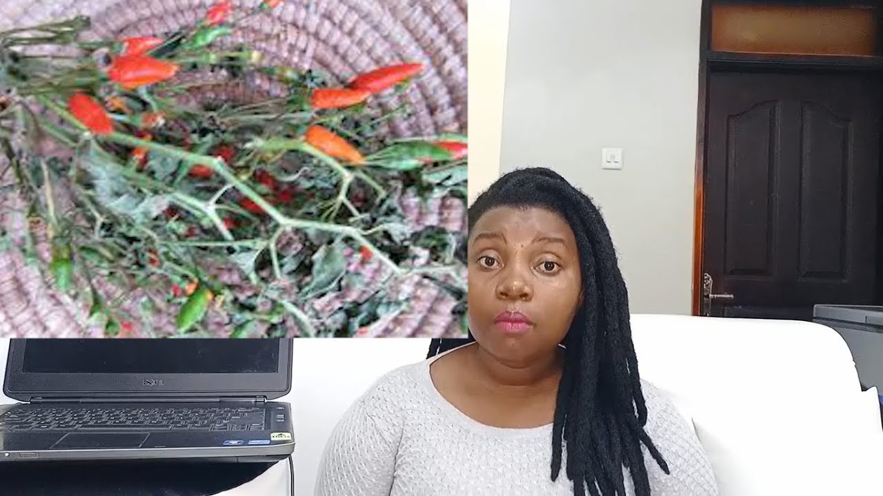 EDDAGALA ELIGOBA EMIZIMU AMAYEMBE NE EBITEEGA ELYOGEZA AMAYEMBE OKWERINDA SI BUTI KOLA BWOTI