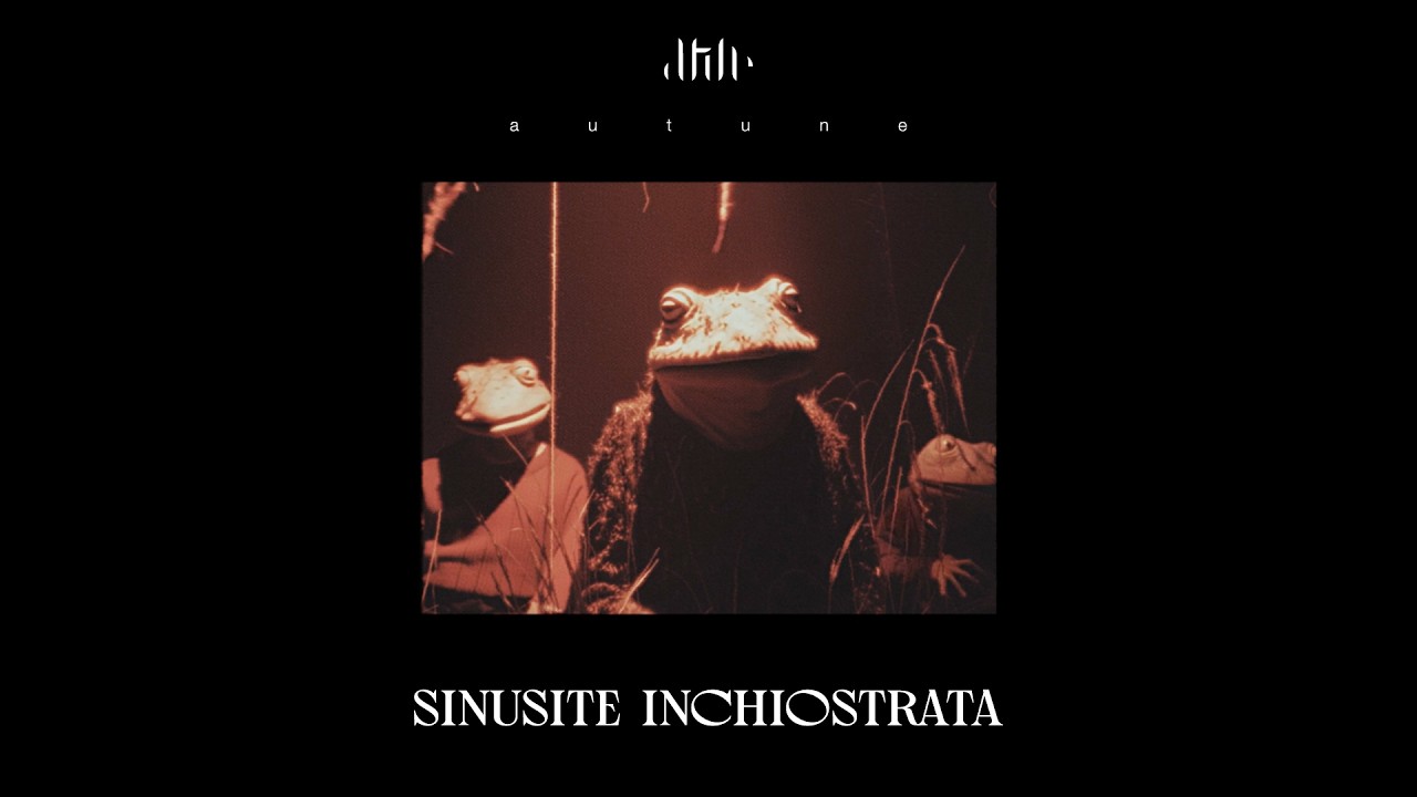 autune - Sinusite inchiostrata (Visual)
