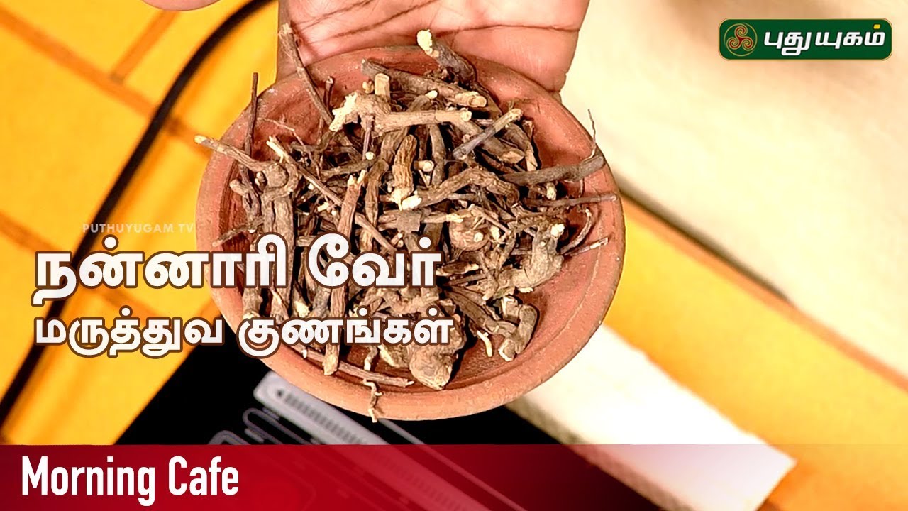 மருத்துவ குணங்கள் நிறைந்த நன்னாரி வேர்! Arivom Arogyam | EP 70