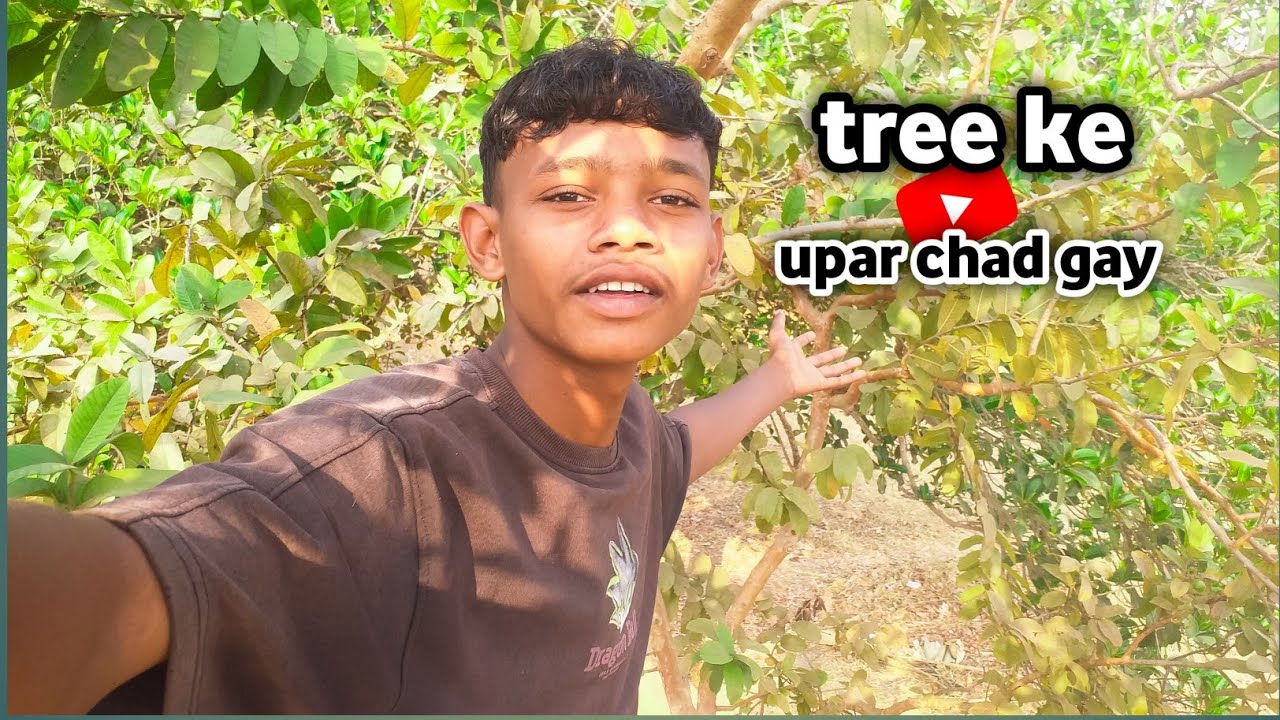 Tree ke upar chad gya 😯😯😯