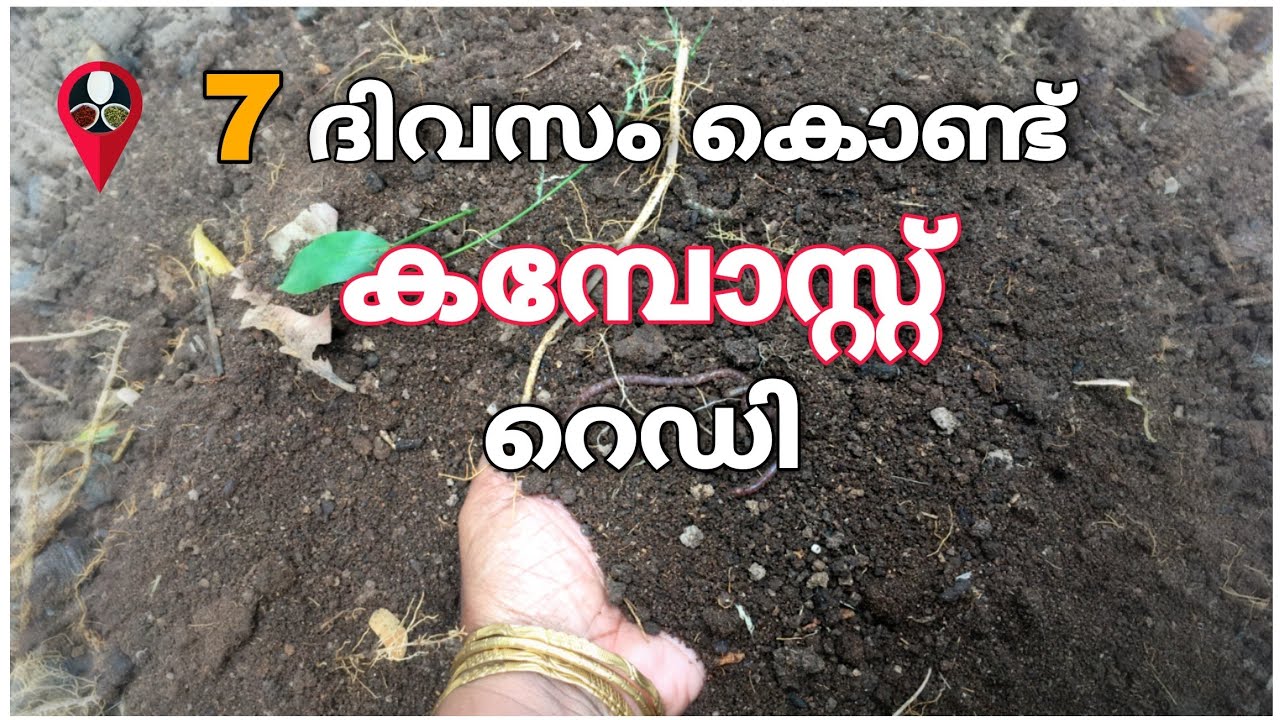 വെറും 7 ദിവസം കൊണ്ട് കമ്പോസ്റ്റ് | Pachakkari waste compost making in malayalam | Prs kitchen krishi