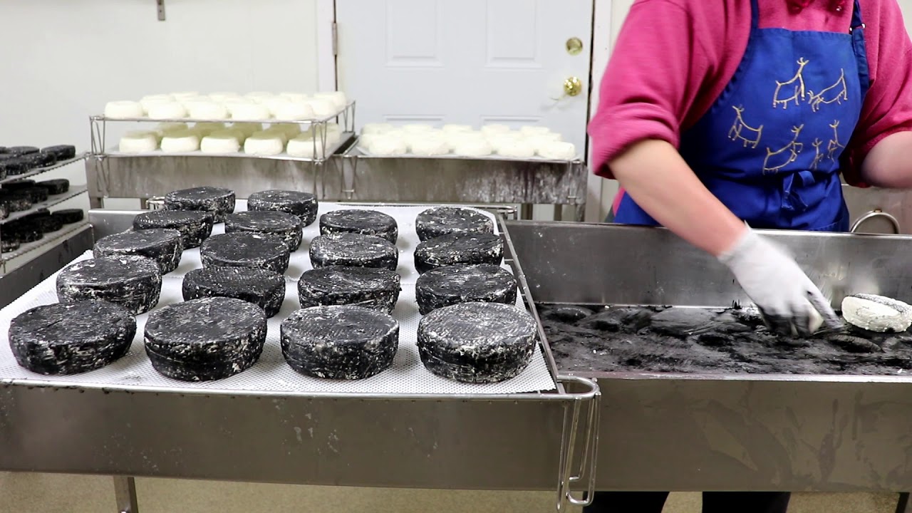 Ashing Bloomy/Soft Ripened Goat Cheese at Rivers Edge Chevre
