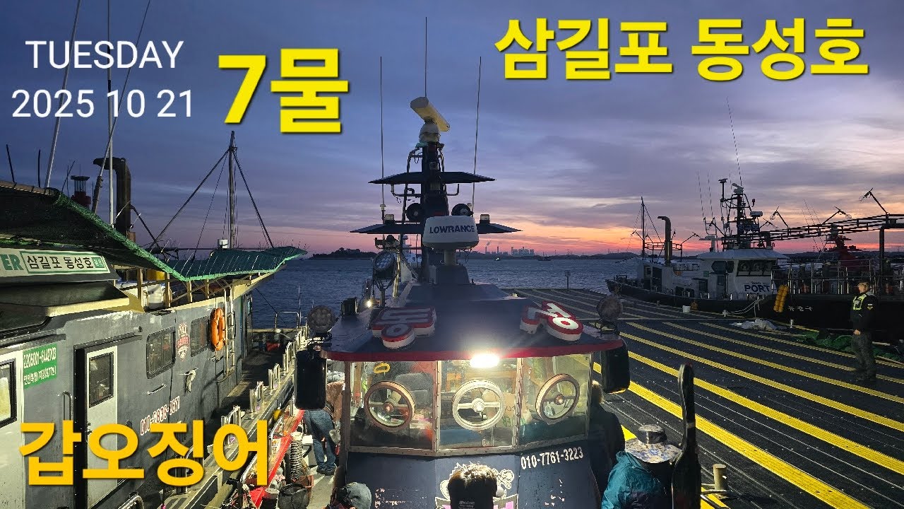 삼길포 동성호 7물 갑오징어