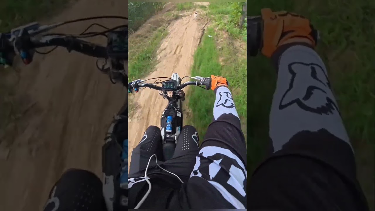 Dont dare to chase me again| biker chasing dogs back