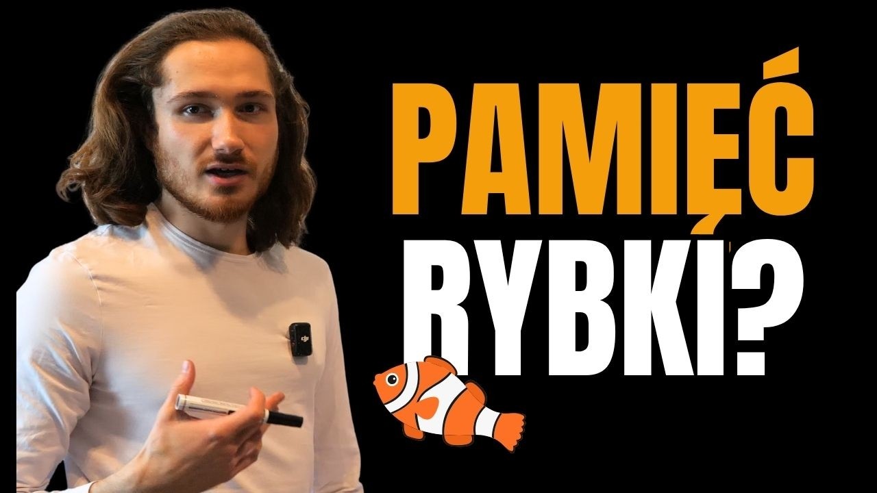 Jak zapamiętywać wszystko?