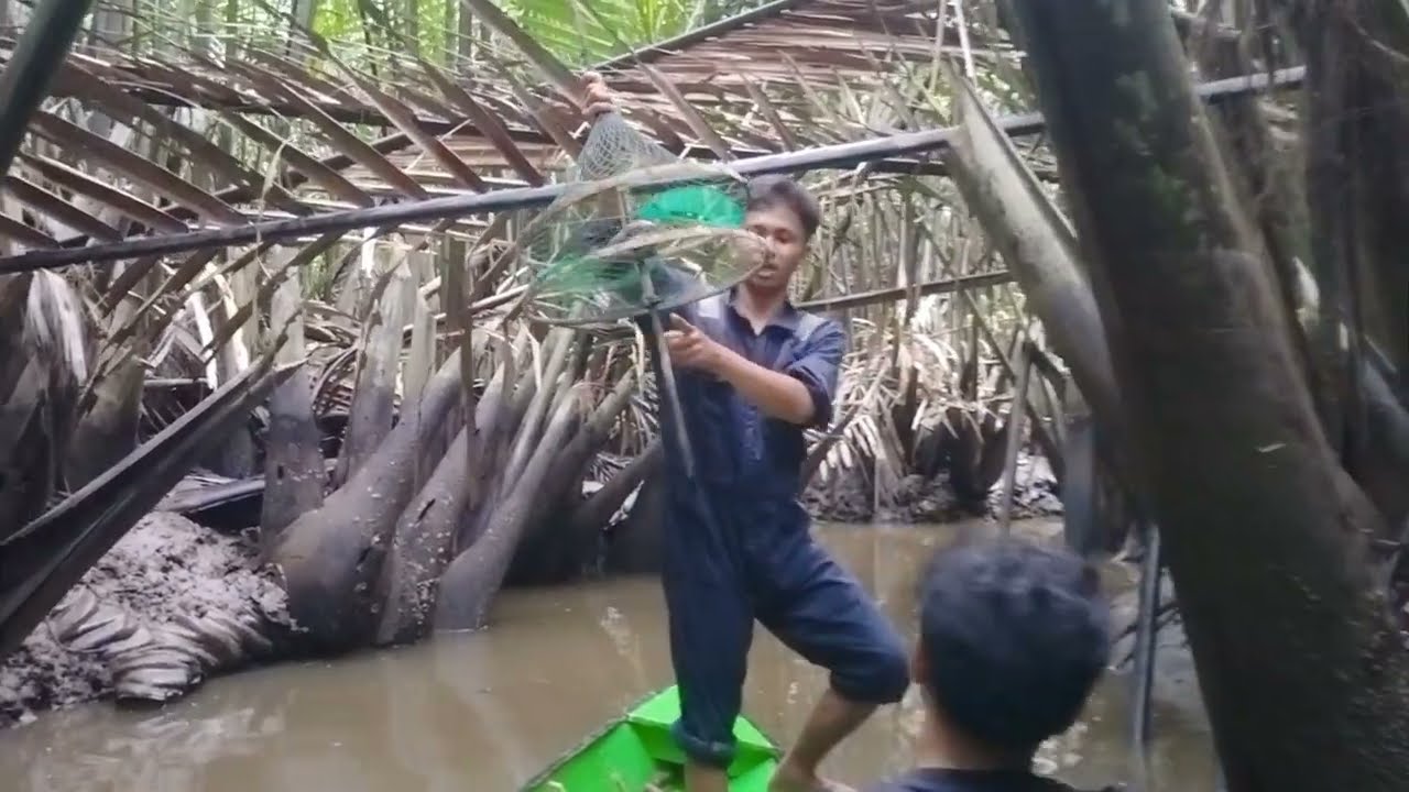 PART 01 cara memasang perangkap kepiting di spot yg Masi sangat terjaga