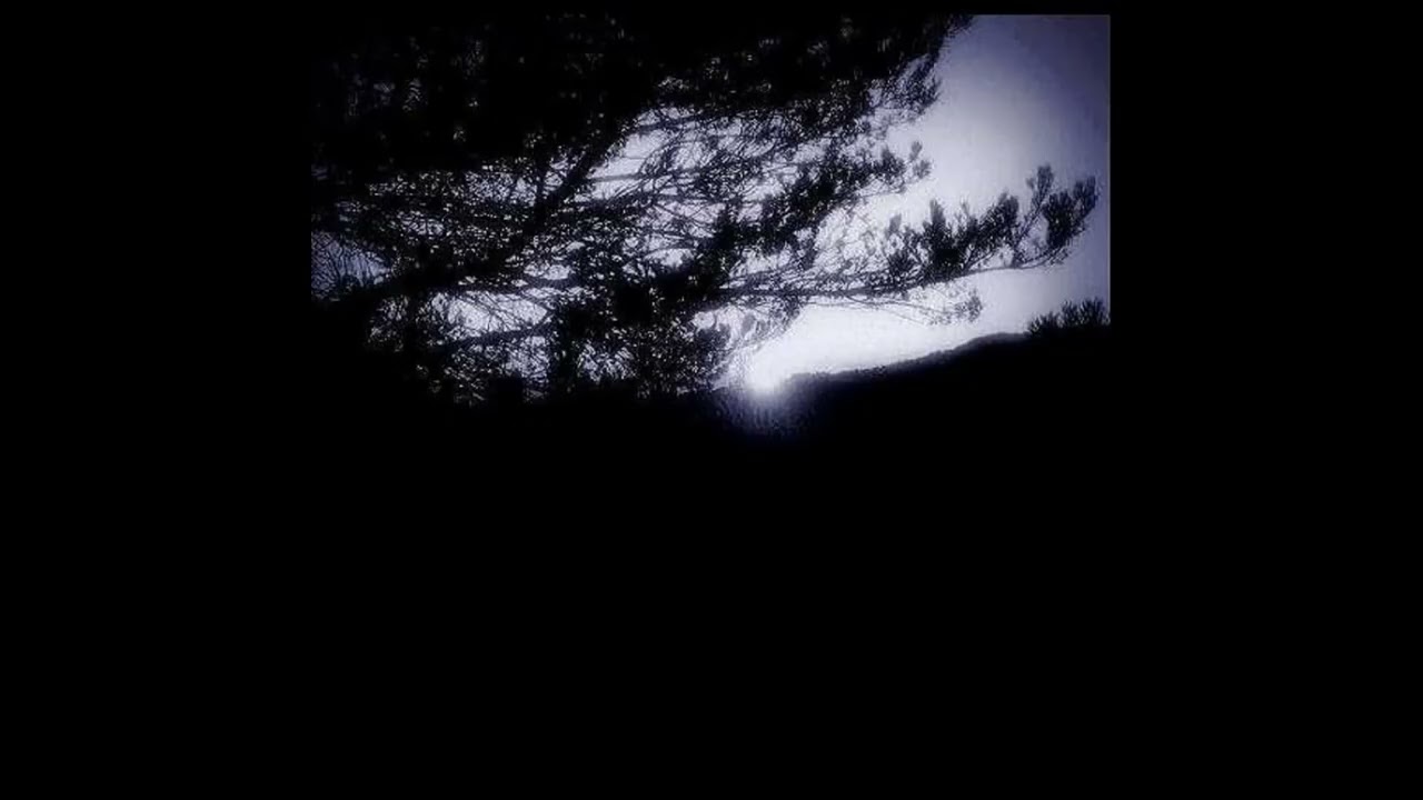Bleeding & Betrayed -  Among Ghostly Fields & Frozen Forests of Sleep (2008, Full Album)