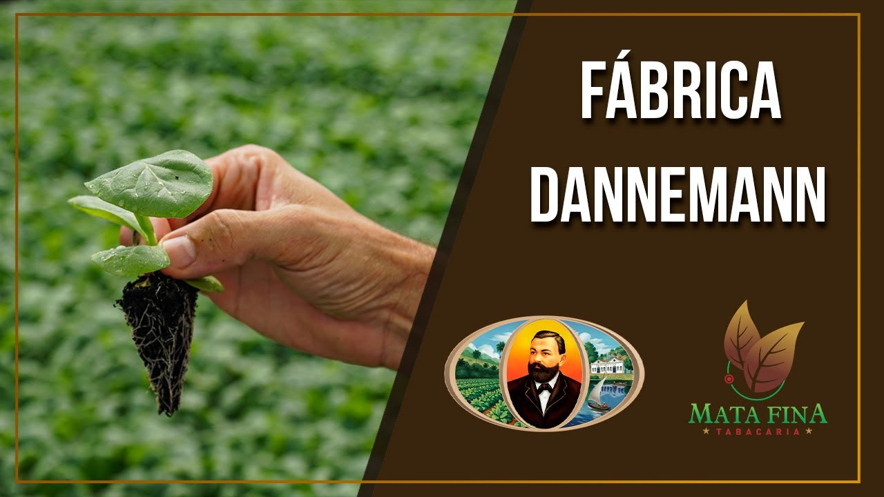 Visita a F&aacute;brica Dannemann