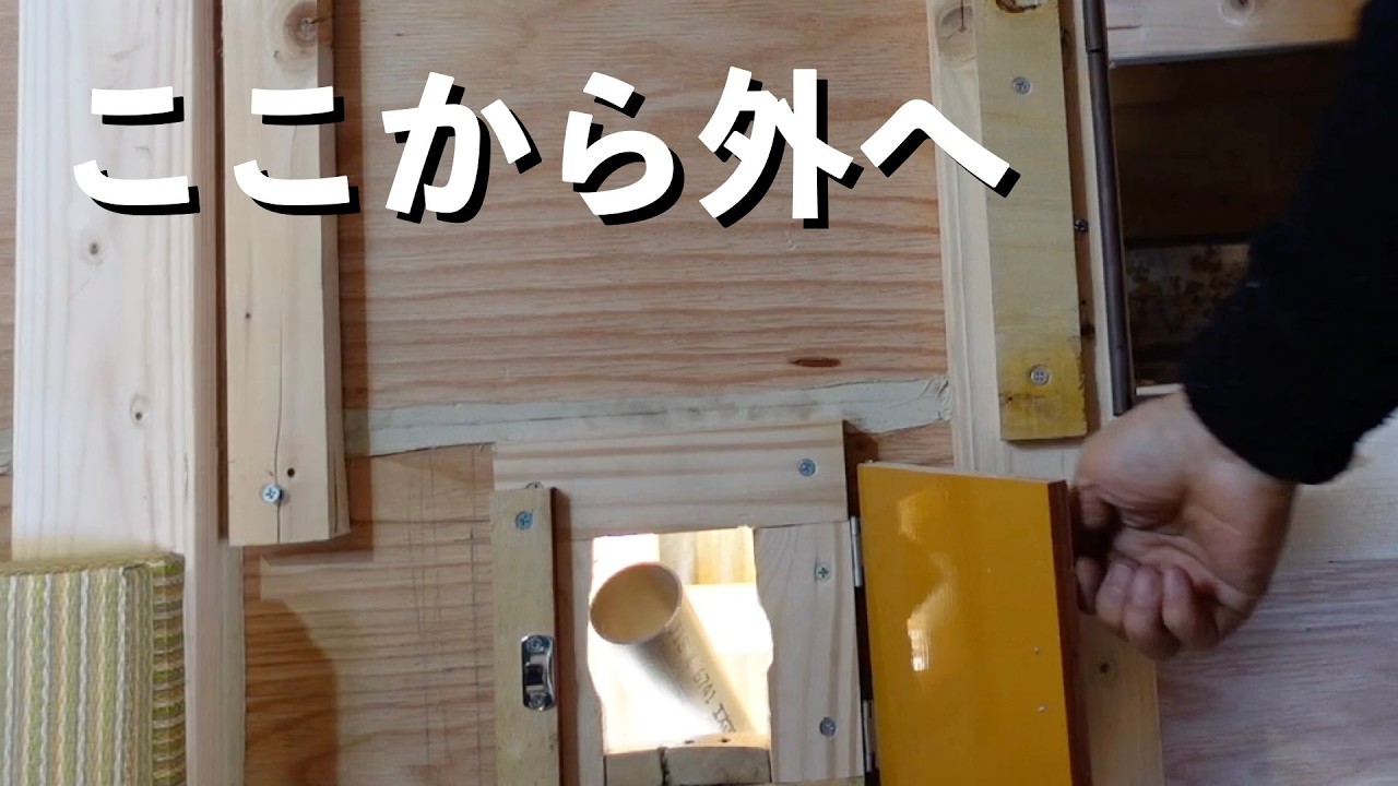 小屋にもう一つの出口  l  Another Exit for the Cabin
