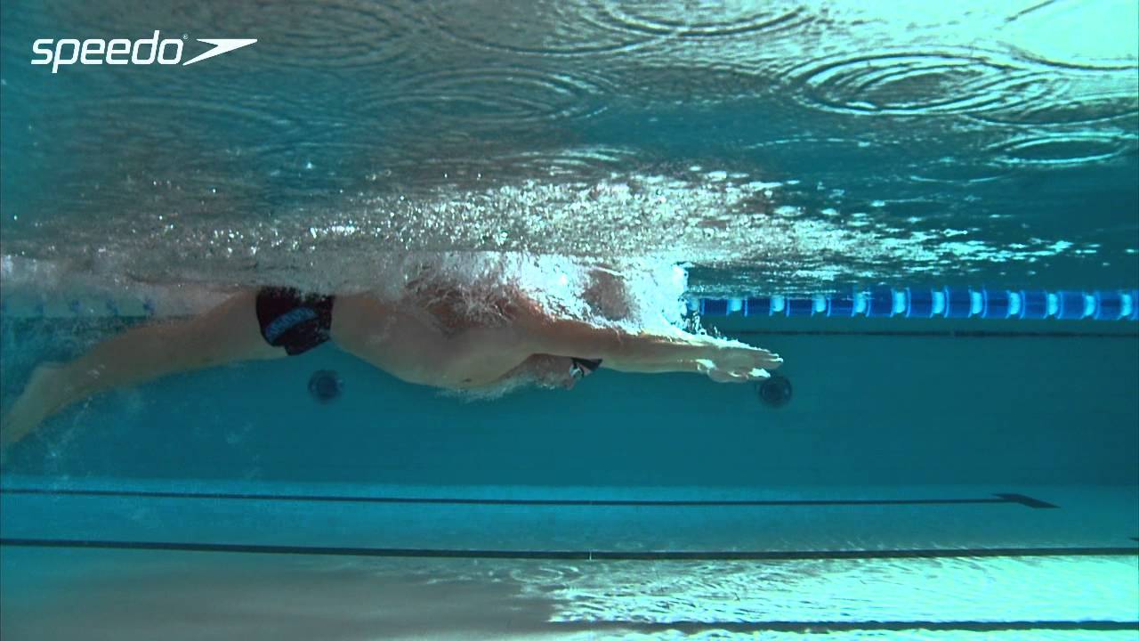 Get Speedo Fit - Papillon - Mouvement des bras