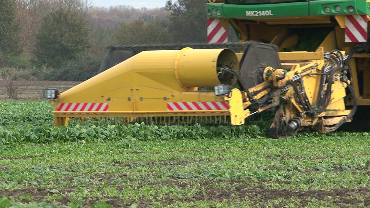 Imagefilm der Gemeinde Bobenheim Roxheim