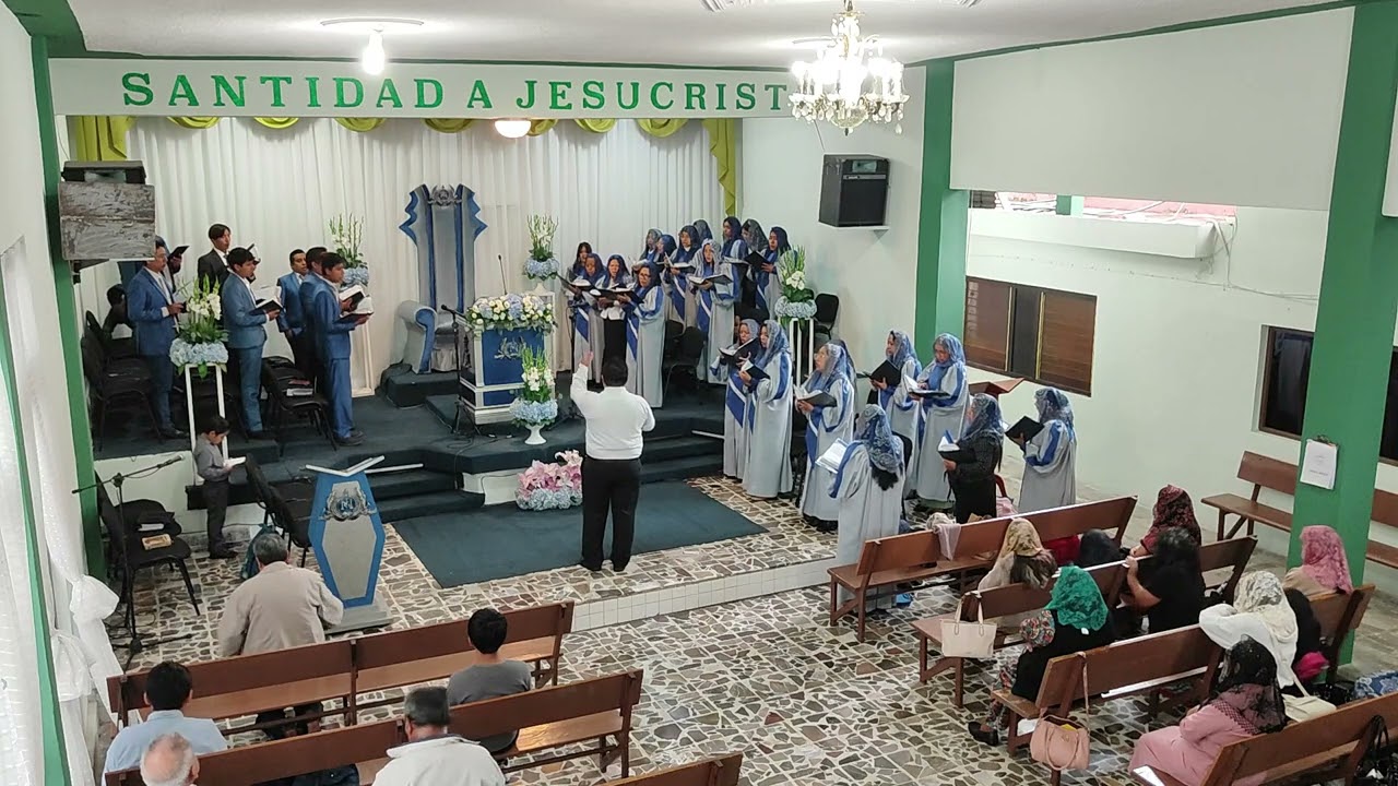 Doy Gracias Al Señor | LLDM