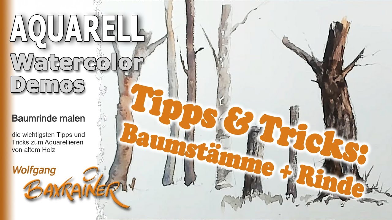 Tipps und Tricks zu Baumstämmen und Rinde