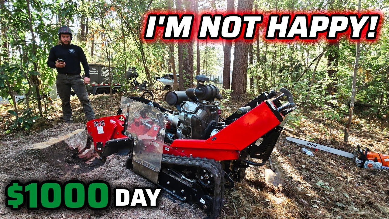 Day In The Life Running A Small Tree Business! New Sthil 881 Chainsaw + Family Updates!